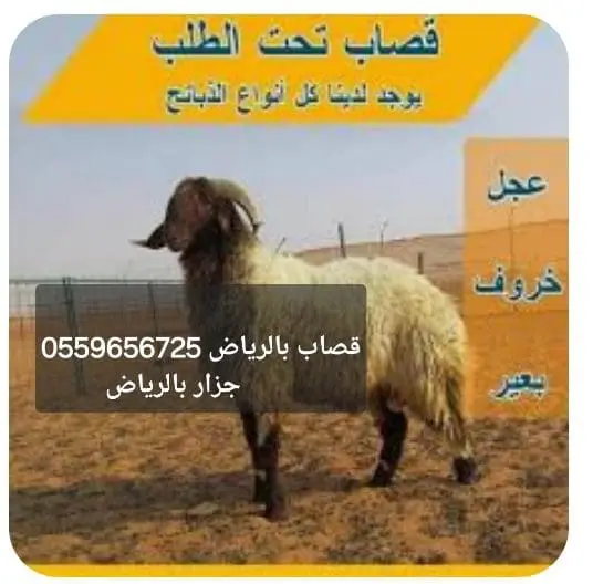 قصاب بالرياض 0559656725جزار بالرياض