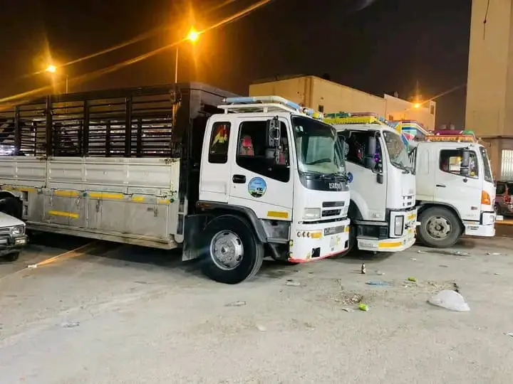 دينا طش المخلفات بالرياض