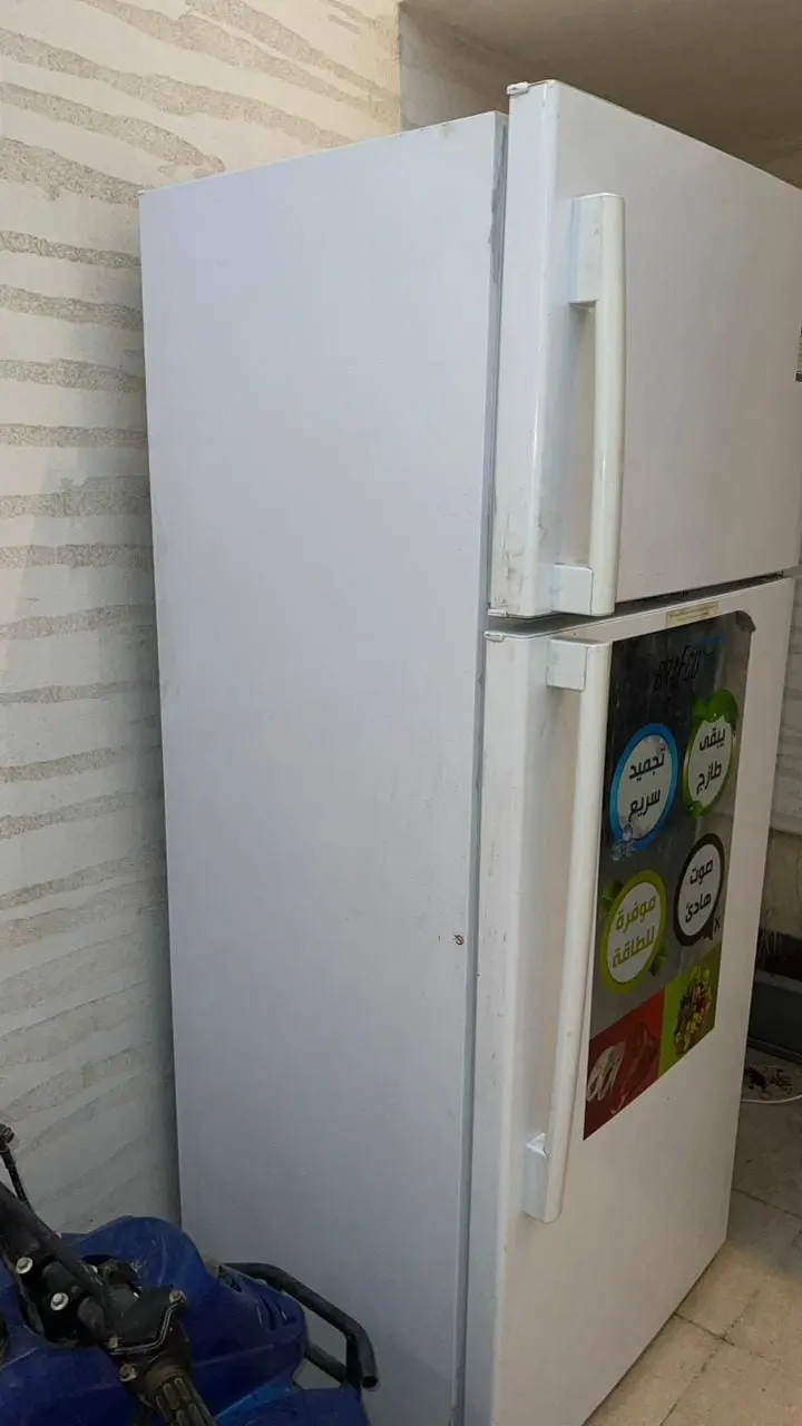 نقل مجالس حي المهدية 0559803796