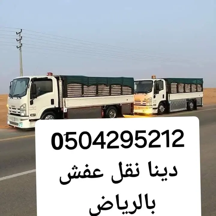 دينا نقل أثاث شرق الرياض