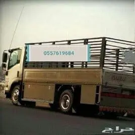 دينا طش رمي اثاث بالرياض 0557619684