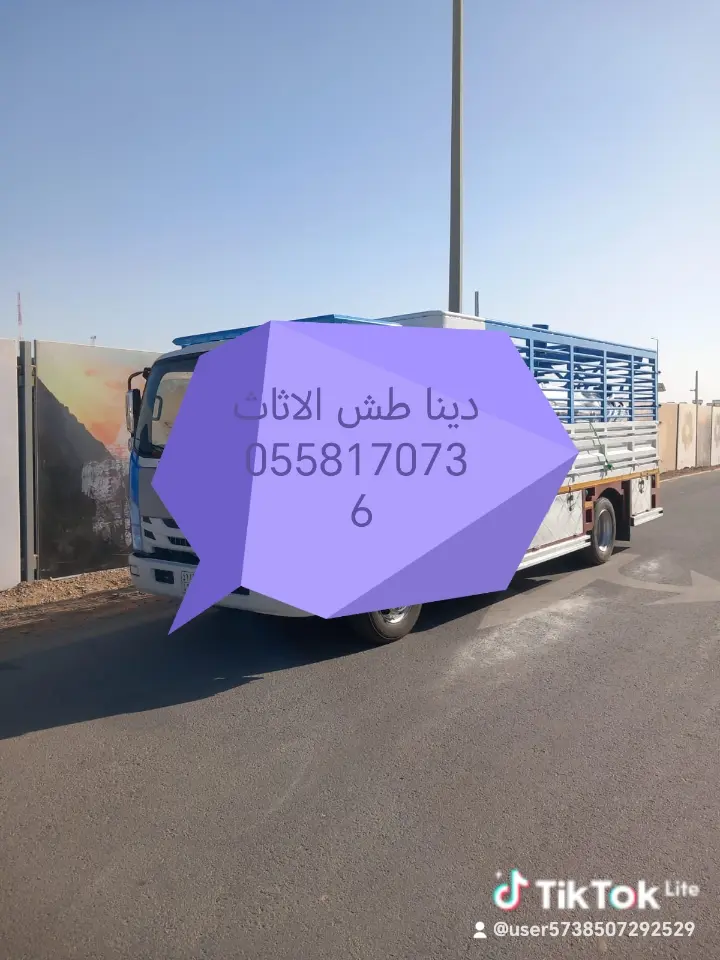 دينا طش الاثاث القديم 0558170736