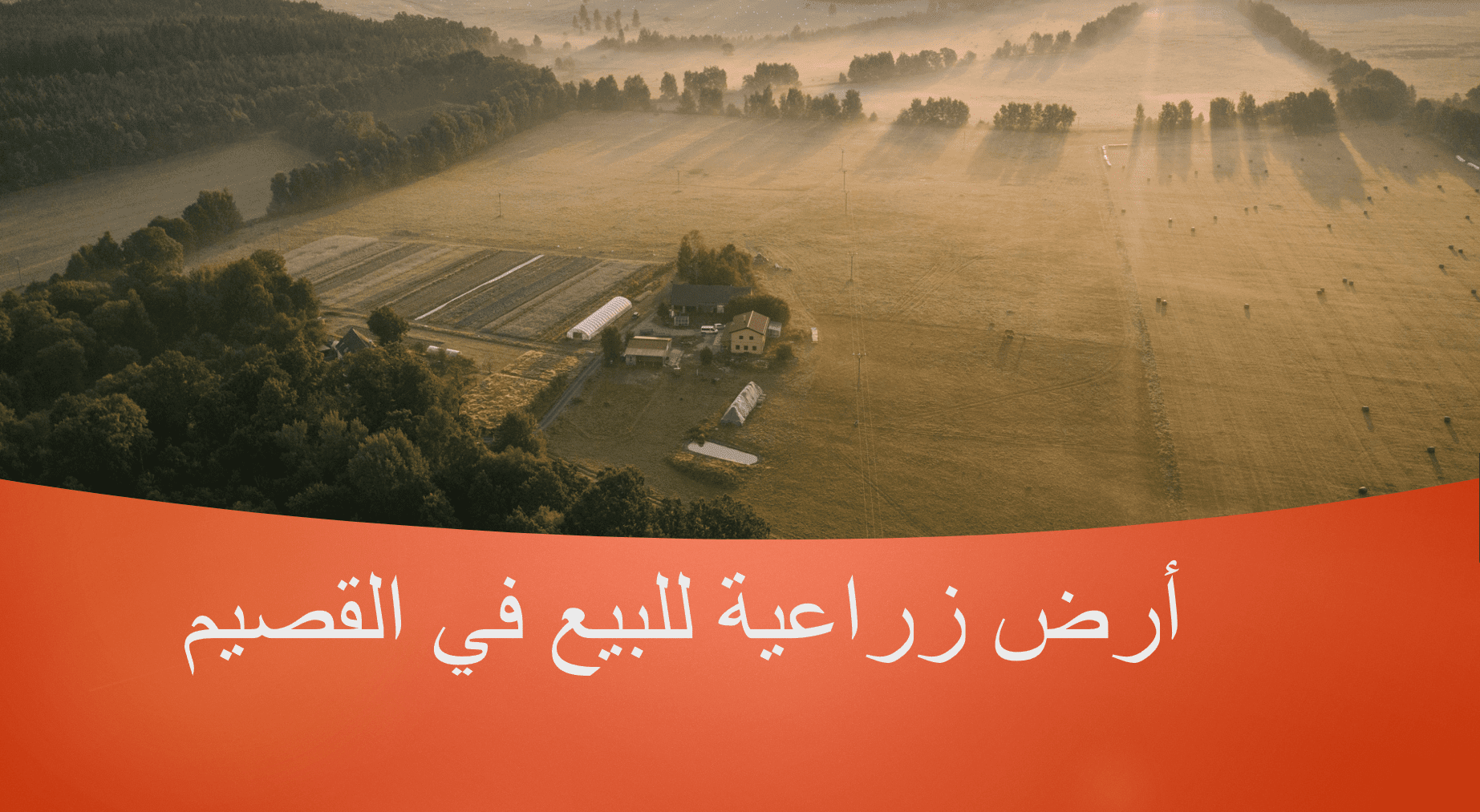 ارض زراعيه فضاء بالقصيم