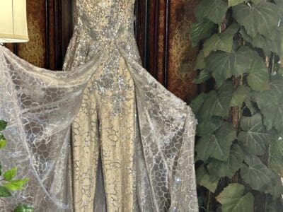 فستان مناسبات فضي وسكري