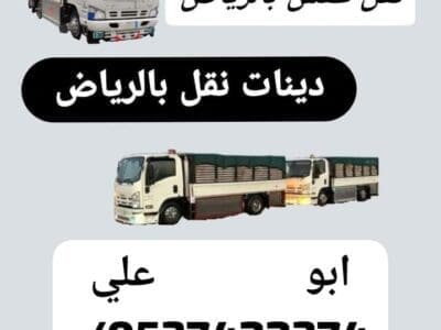 دينا نقل عفش اثاث من الرياض الى تبوك 0537422374