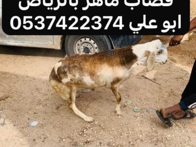 قصاب بالرياض 0537422374