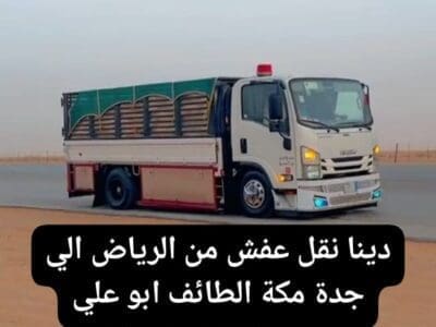 دينا نقل عفش من الرياض الى تبوك 0537422374