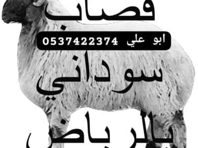 قصاب بالرياض 0537422374