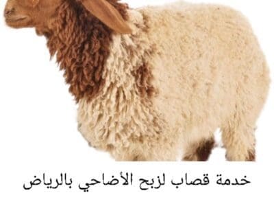 أفضل قصاب ماهر بالرياض 0َ503559450 جزار