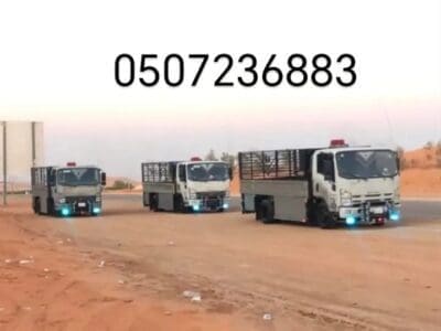 دينا طش اثاث قديم بالرياض 0507236883