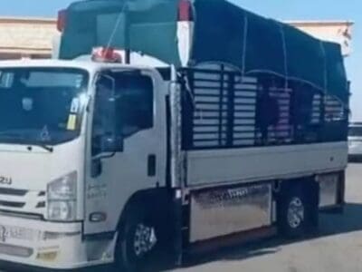 دينا طش رمي تخلص من عفش التالف القديم 0508857593