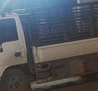 دينا طش رمي الأثاث القديم 0508857593