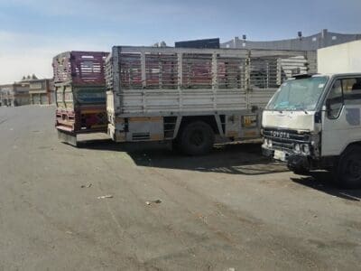 دينا طش رمي الأثاث القديم 0508857593