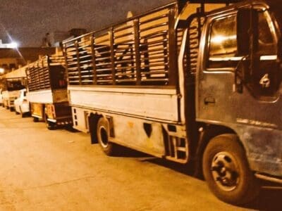 دينا طش رمي الأثاث القديم 0508857593