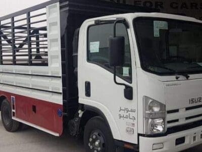 دينا طش مخلفات بالرياض 0506439664