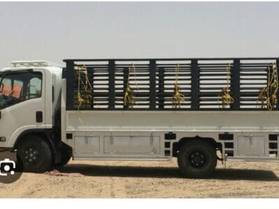 دنية نقل عفش بالمدينة المنورة 0574608651وخارج المدينة المنورة