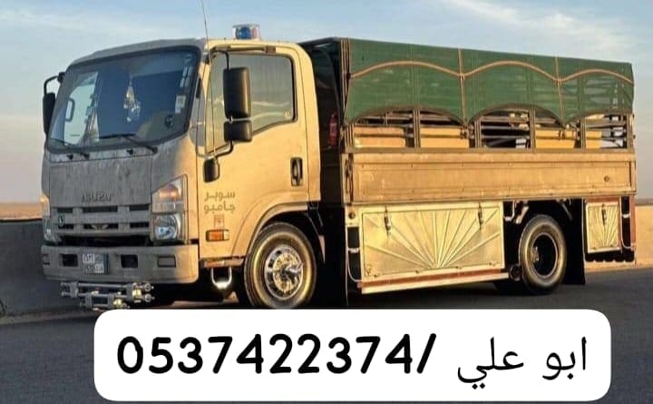 طش اثاث قديم شمال الرياض 0537422374 تالف