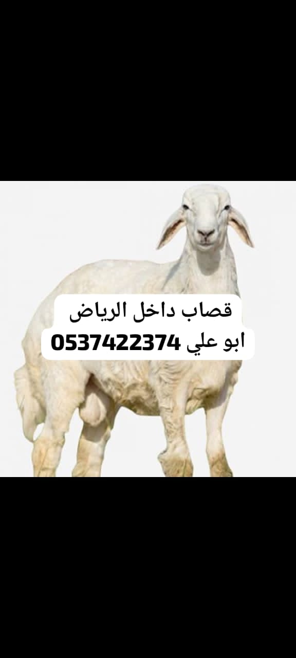قصاب داخل الرياض 0537422374 جزار زباح بالرياض