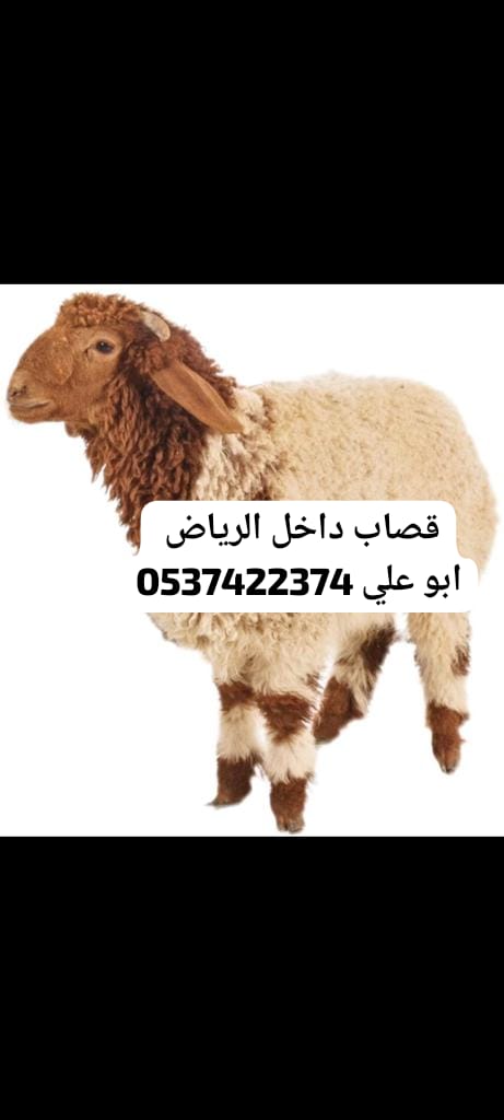 قصاب داخل الرياض 0537422374 جزار زباح بالرياض