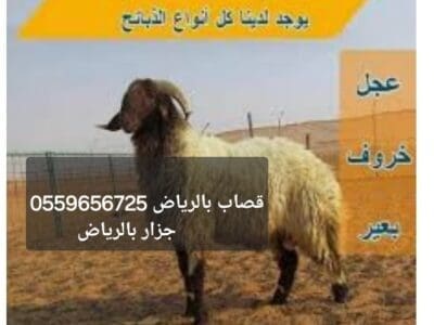 قصاب بالرياض 0559656725جزار بالرياض