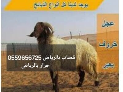 قصاب بالرياض 0559656725جزار بالرياض