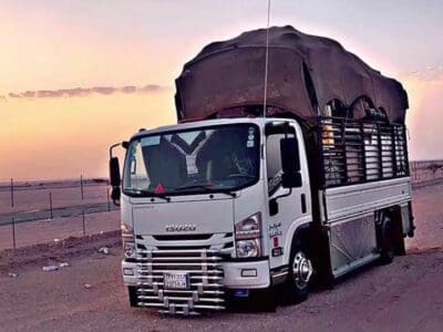 تريلا نقل عفش الرياض -جدة -جيزان الدمام