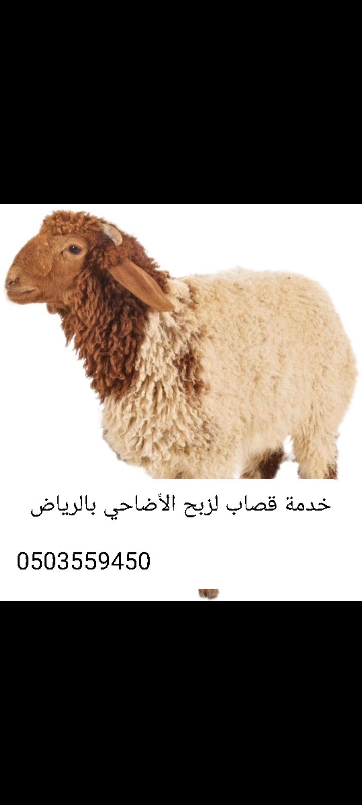 أفضل قصاب ماهر بالرياض 0َ503559450 جزار