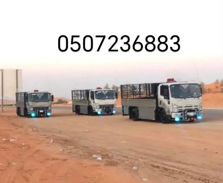 دينا طش اثاث قديم بالرياض 0507236883
