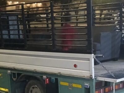 دينا توصيل اثاث لي جمعية خيرية شمال الرياض 0503483036