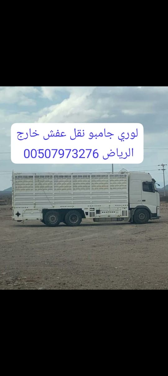 دينا نقل اثاث بالرياض حي الياسمين 0َ507973276
