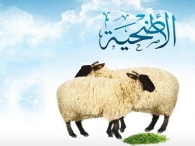 قصاب بالرياض ماهر 0508857593