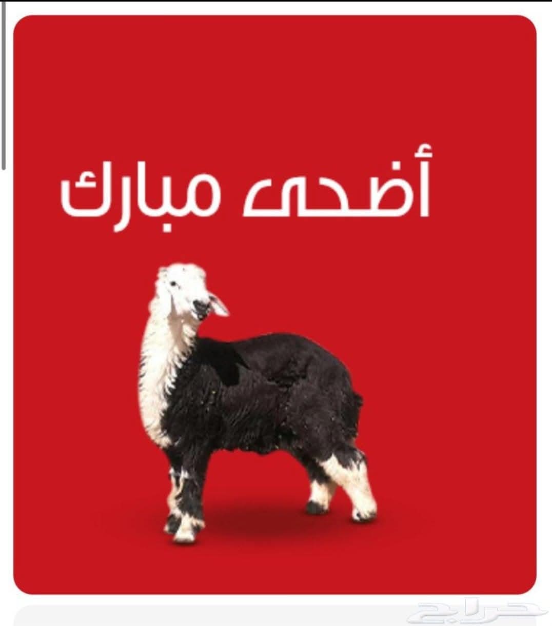 جزار ماهر بالرياض 0508857593