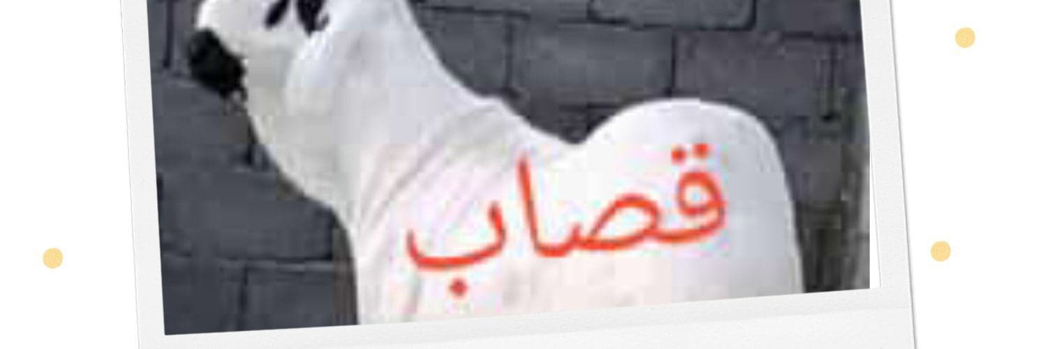 جزار بالرياض قصاب بالرياض ماهر 0508857593 زباح بالرياض