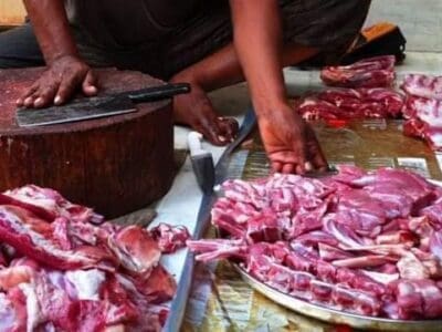 قصاب سريع في السلخ بالرياض 0508857593