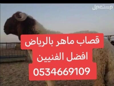 قصاب ماهر حي السويدي 0534669109