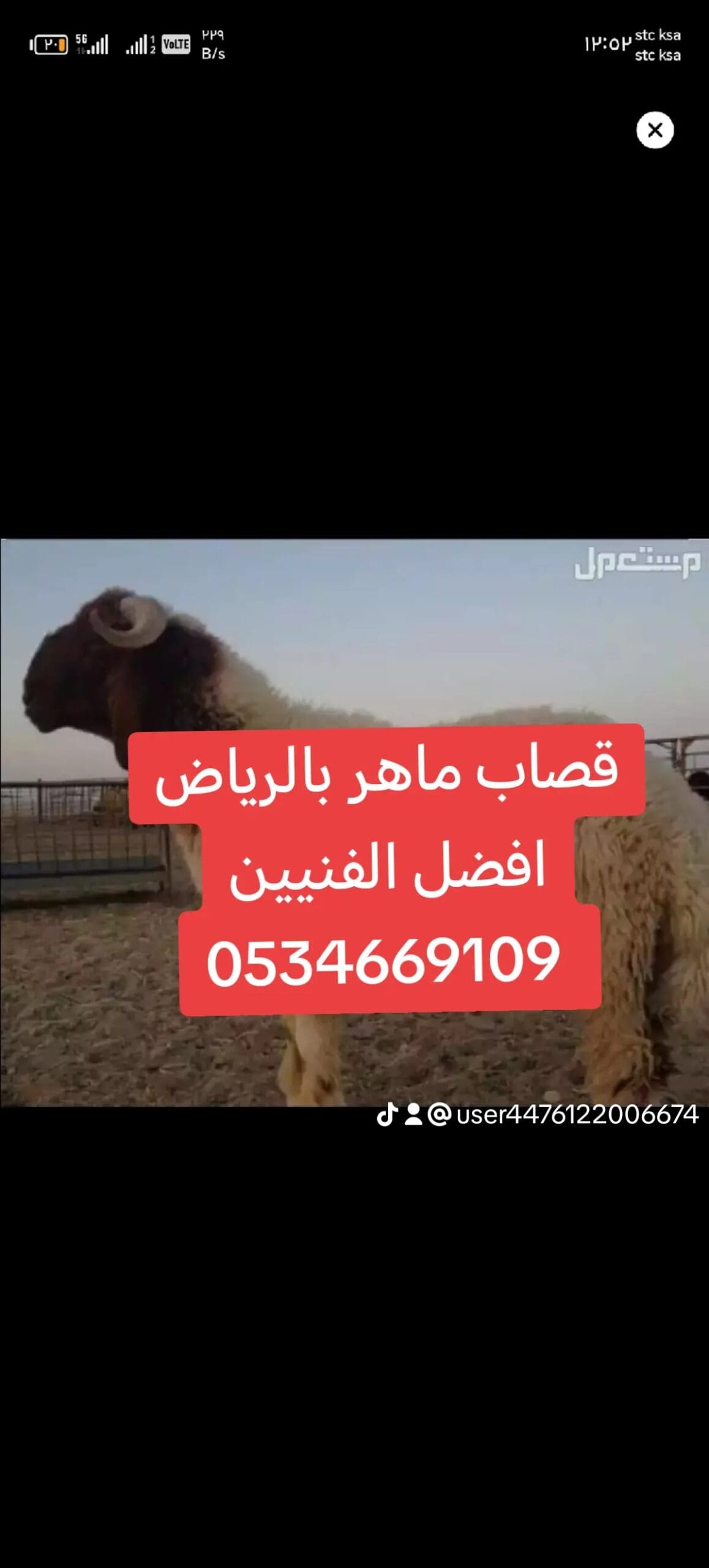 قصاب ماهر شمال الرياض 0534669109
