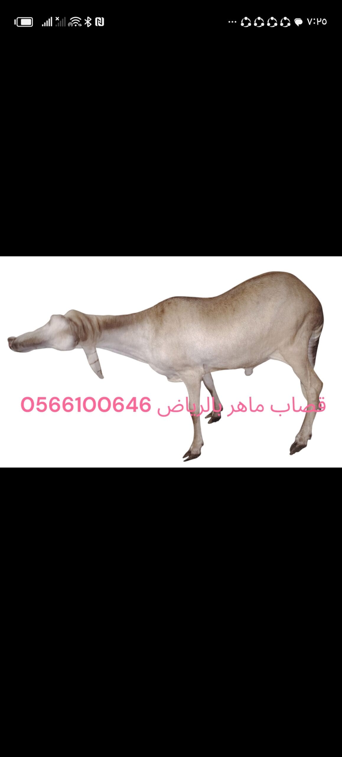 قصاب ماهر بالرياض 0566100646