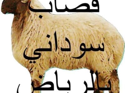 قـصـاب بـالـريـاض 0559656725 جـزار مـاهـر بـالـريـاض سـودانـي