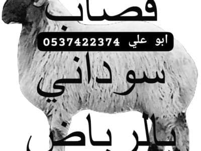 قصاب غرب الرياض ماهر 0537422374