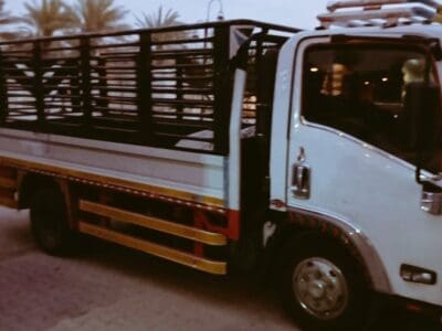 دينا نقل عفش حي الدرعية 0506439664