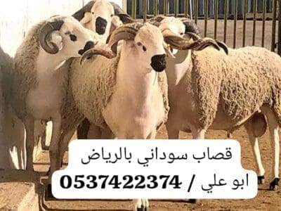 ارقام قصابين بالرياض 0537422374 زباحين بالرياض
