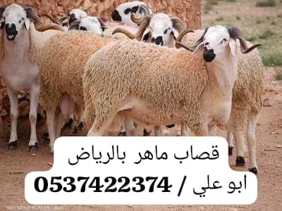 ارقام قصابين ماهري بالرياض 0537422374