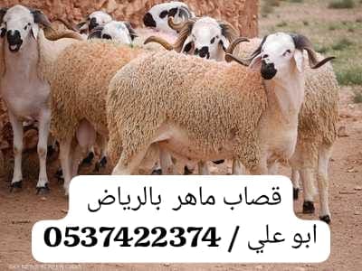 ارقام قصابين بالرياض 0537422374 زباحين بالرياض