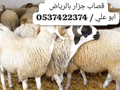 ارقام قصابين ماهري بالرياض 0537422374