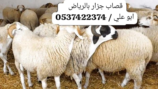 ارقام قصابين ماهري بالرياض 0537422374