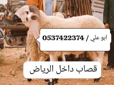 قصاب ماهر شرق الرياض 0537422374