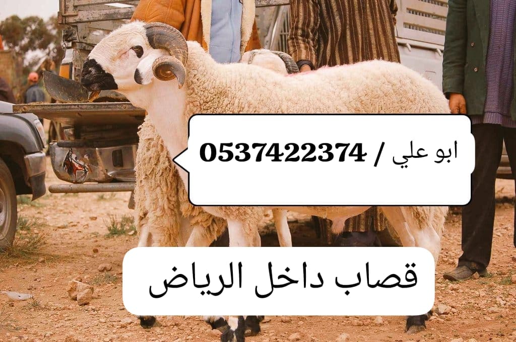 قصاب ماهر شرق الرياض 0537422374