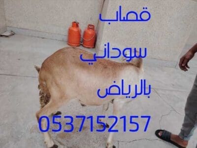 قصاب ماهر بالرياض 0537152157