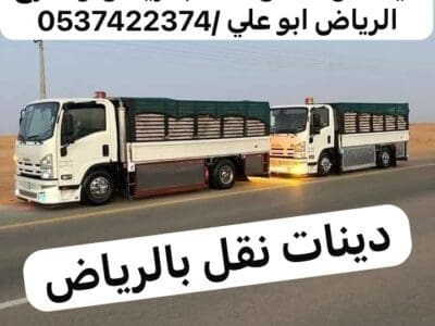 دينا تشيل اثاث قديم بالرياض 0537422374
