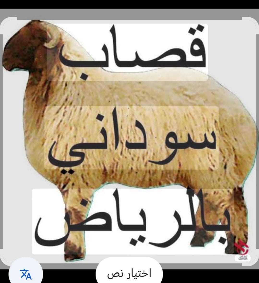 قصاب ماهر شرق الرياض 0553914418